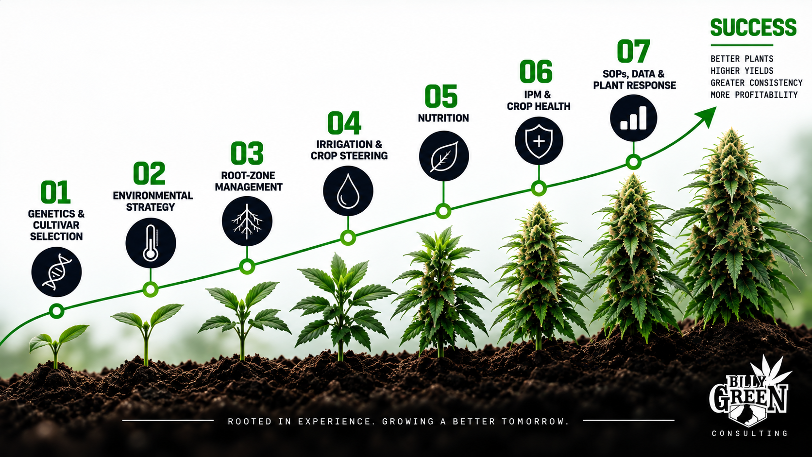 The Billy Green Method: 7 Steps to Success — a complete approach to cultivation, from genetics through SOPs, data and plant response